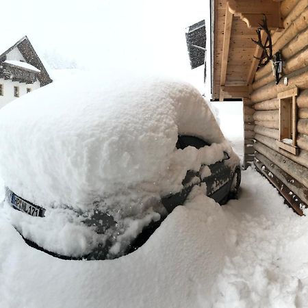 Karwendel Apartments Scharnitz Dış mekan fotoğraf